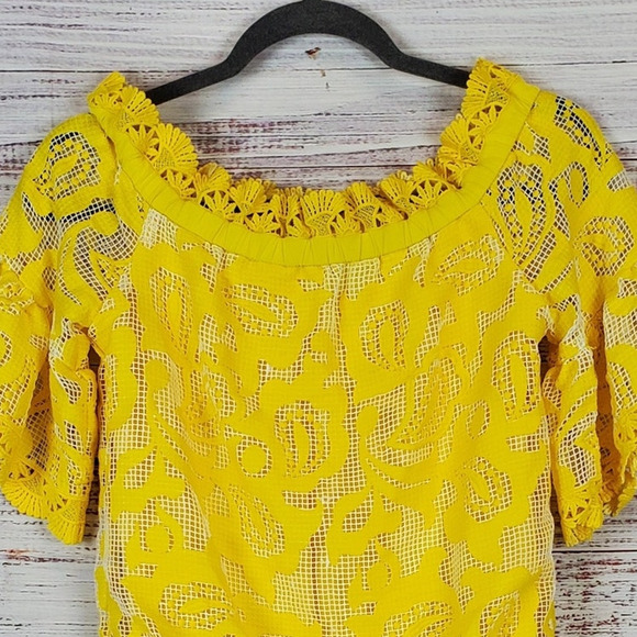 Alexis Yellow Silk Lace Mini Dress XS Off Shoulder Floral Fairy Coquette Kawaii - Picture 3 of 16